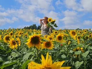 WebCAM von Ms_Sloane